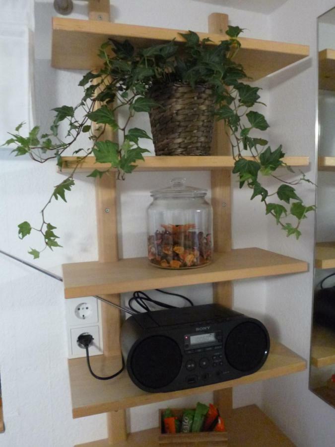 Ferienwohnung Jansen "Eins" 巴特施瓦尔巴赫 外观 照片
